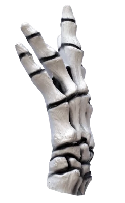 White Skeleton Gloves (Child) -Cosplay Clothing Store 27058 1 min