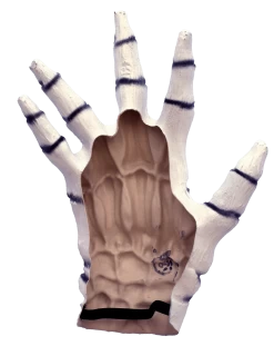 White Skeleton Gloves (Child) -Cosplay Clothing Store 27058 4 min