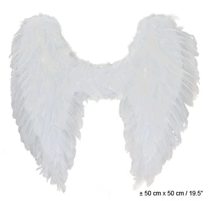 Angel Wings Feather 3 Angel Wings Feather