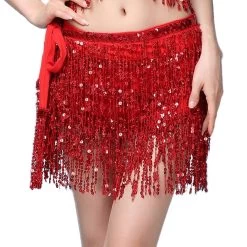 Belly Dance Sequin Tassel Wrap Skirt -Cosplay Clothing Store 8354DEB1 3486 41EB 905C AFA28782C14C