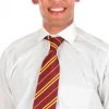 Gryffindor Necktie -Cosplay Clothing Store AAEL44300