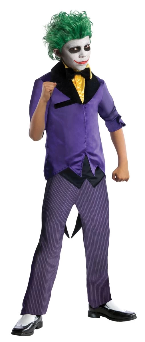 The Joker DC Comics Villain (Child) 3 The Joker DC Comics Villain (Child)