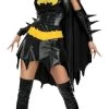 Batgirl Costume (Adult)