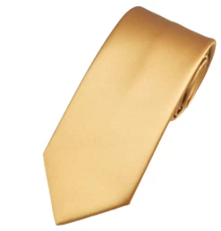 Classic Necktie -Cosplay Clothing Store ChampagneTie