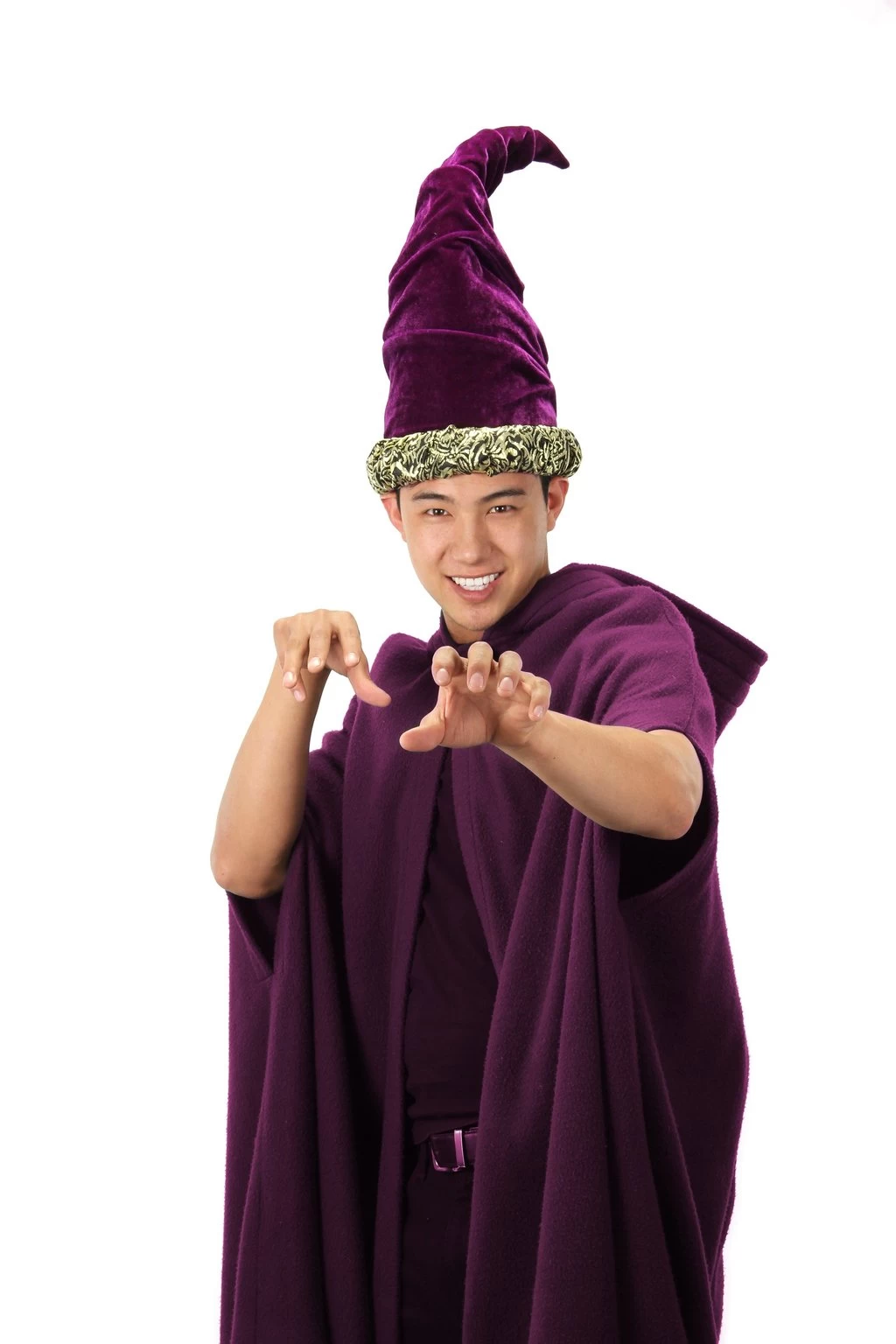 Purple Velvet Wizard Hat 3 Purple Velvet Wizard Hat