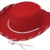 Felt Cowboy Hat (Child) -Cosplay Clothing Store HHJH3133C
