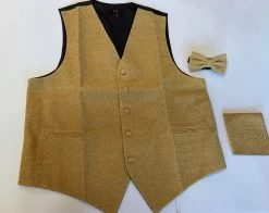 Gold Glitter Vest (Adult)