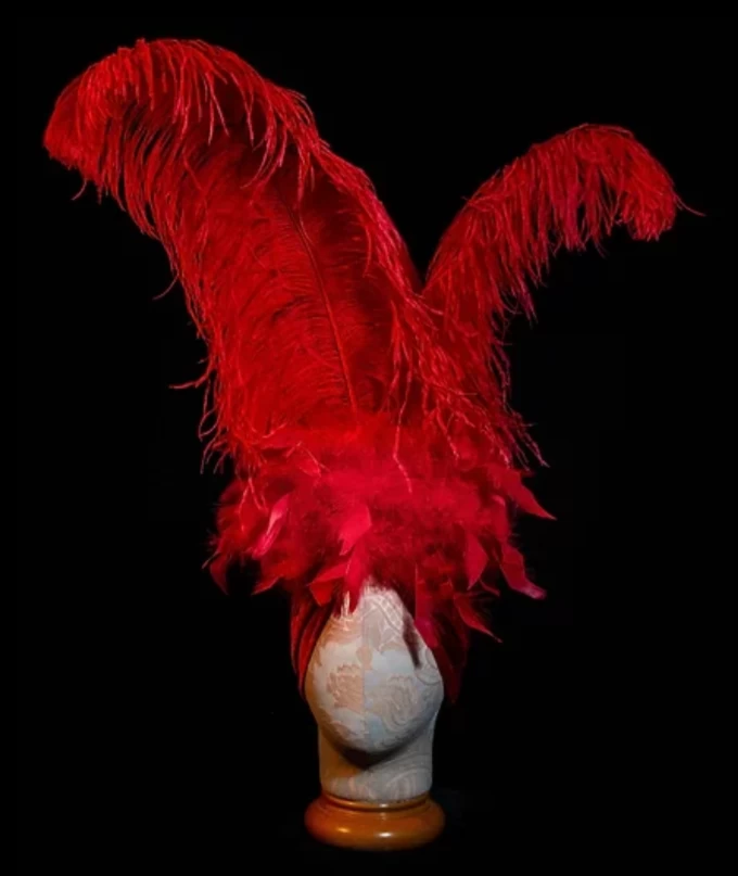 Showgirl Headpiece 4 Showgirl Headpiece - Image 2