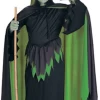 Wicked Witch (Child) -Cosplay Clothing Store Screenshot2023 06 27at5.23.02PM