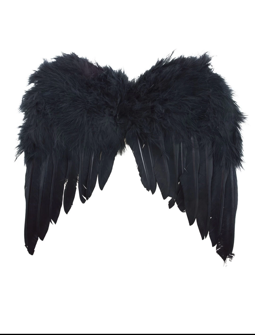 Small Feather Wings (Black) 3 Small Feather Wings (Black)